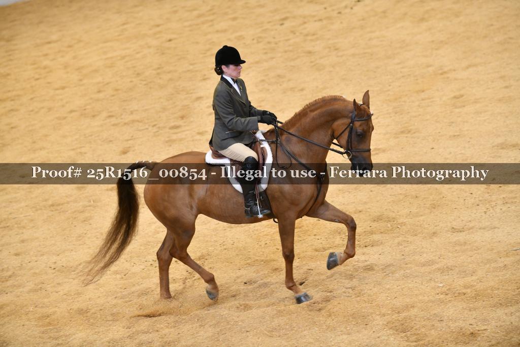 Proof Number 25R1516_00854