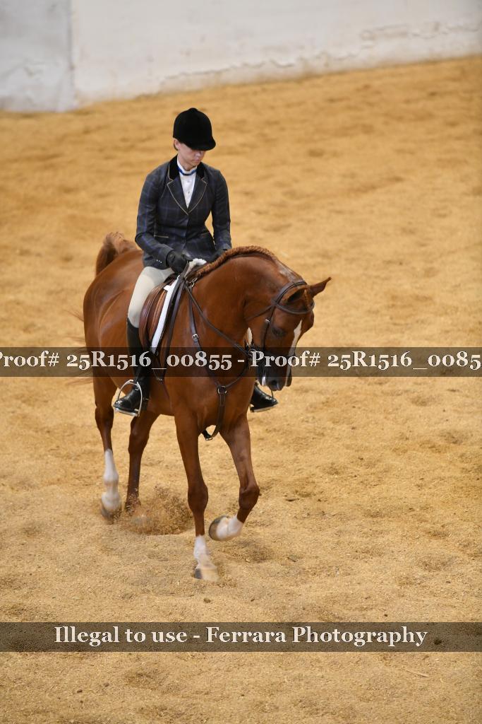 Proof Number 25R1516_00855