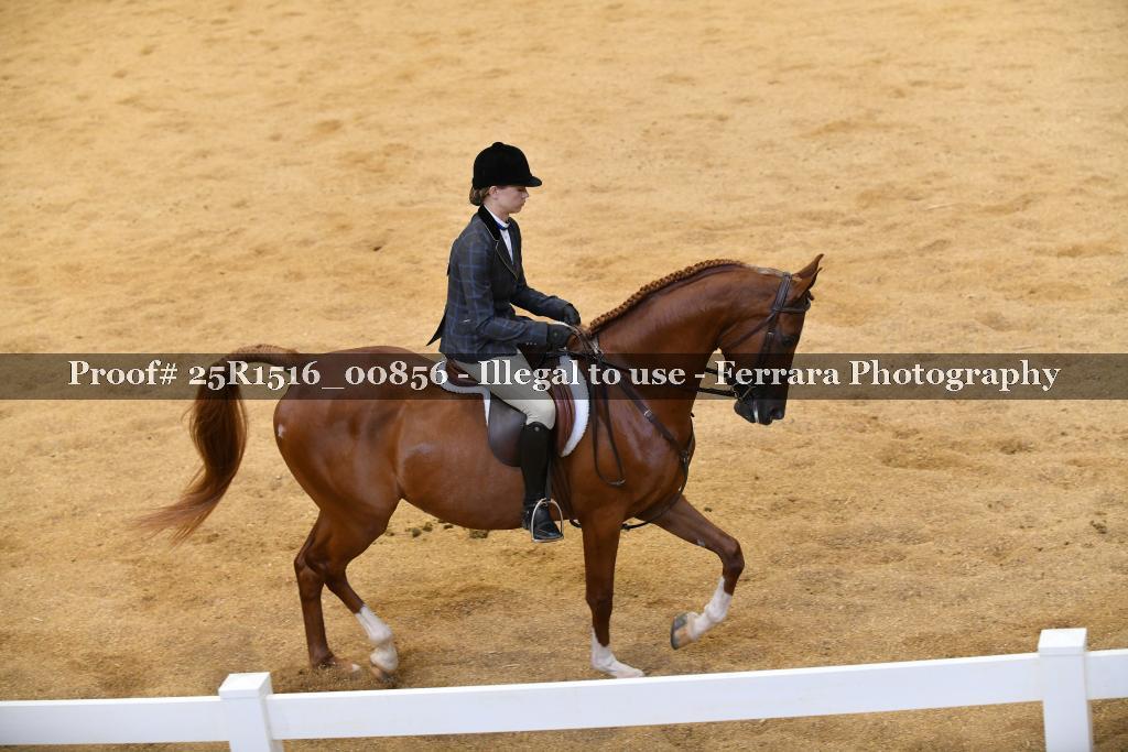 Proof Number 25R1516_00856