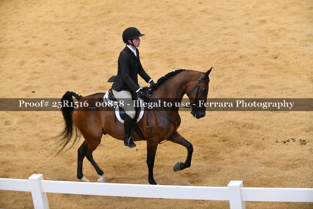 Proof Number 25R1516_00858