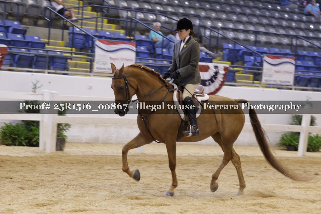 Proof Number 25R1516_00867