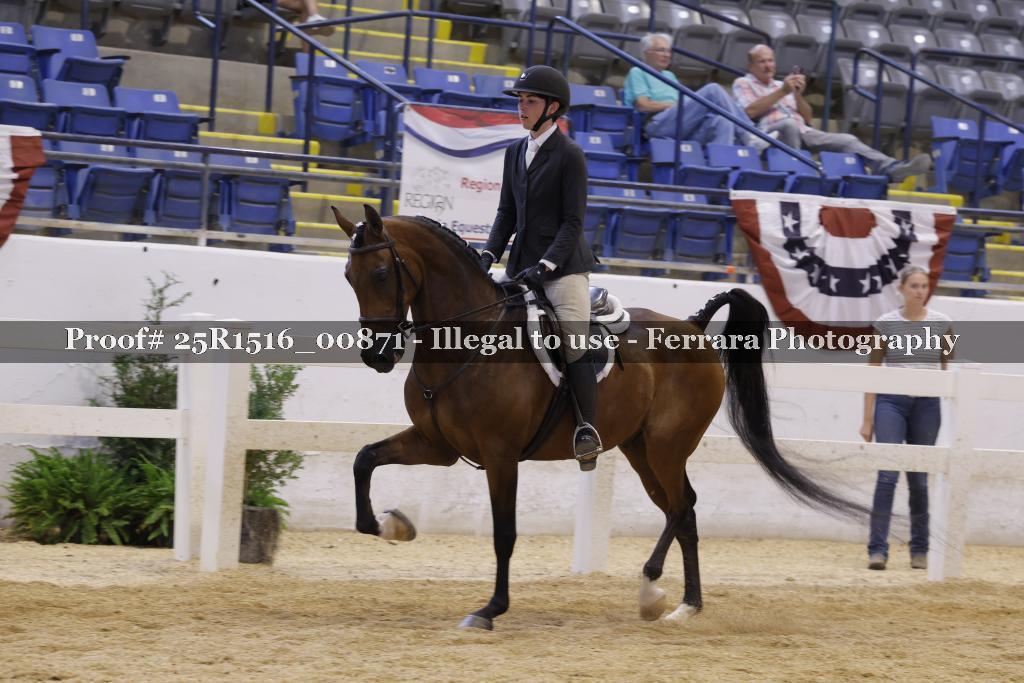 Proof Number 25R1516_00871