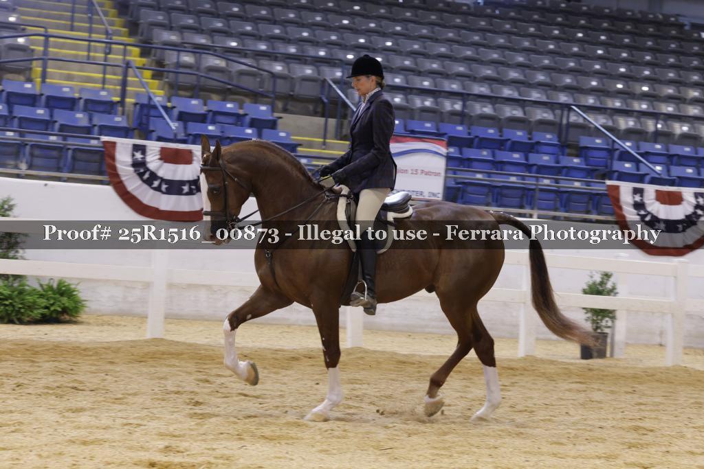 Proof Number 25R1516_00873