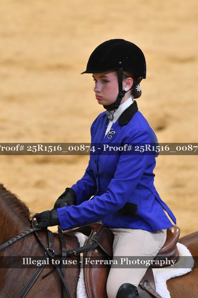 Proof Number 25R1516_00874