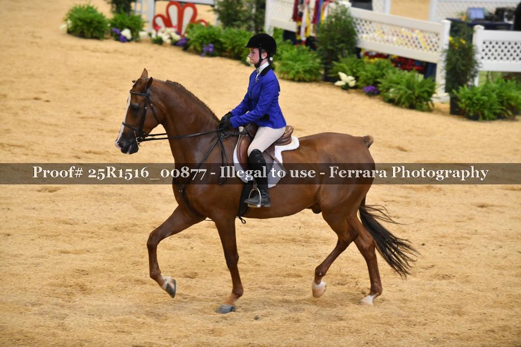 Proof Number 25R1516_00877