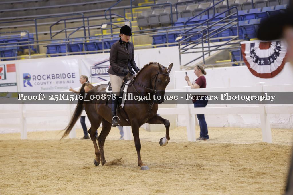 Proof Number 25R1516_00878