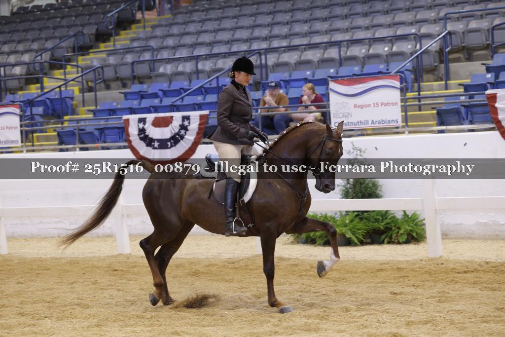 Proof Number 25R1516_00879
