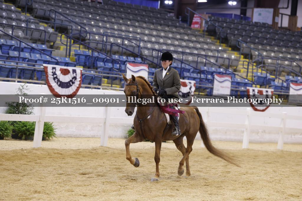 Proof Number 25R1516_00901