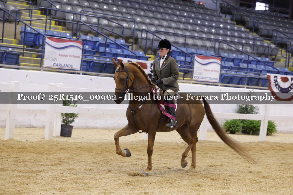 Proof Number 25R1516_00902
