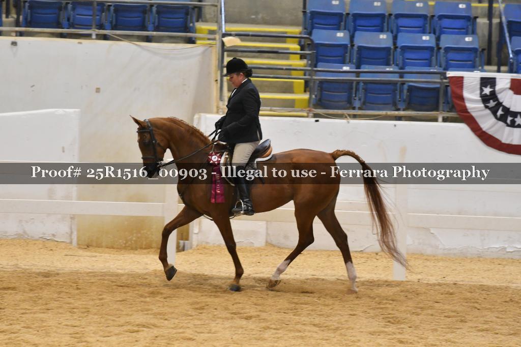 Proof Number 25R1516_00903