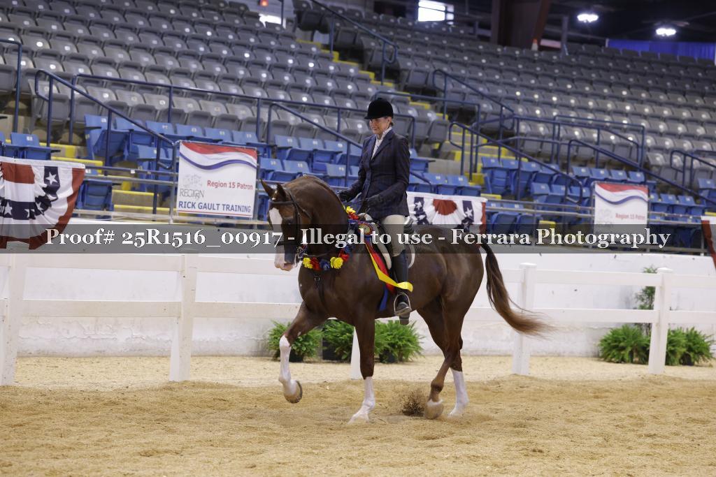 Proof Number 25R1516_00917
