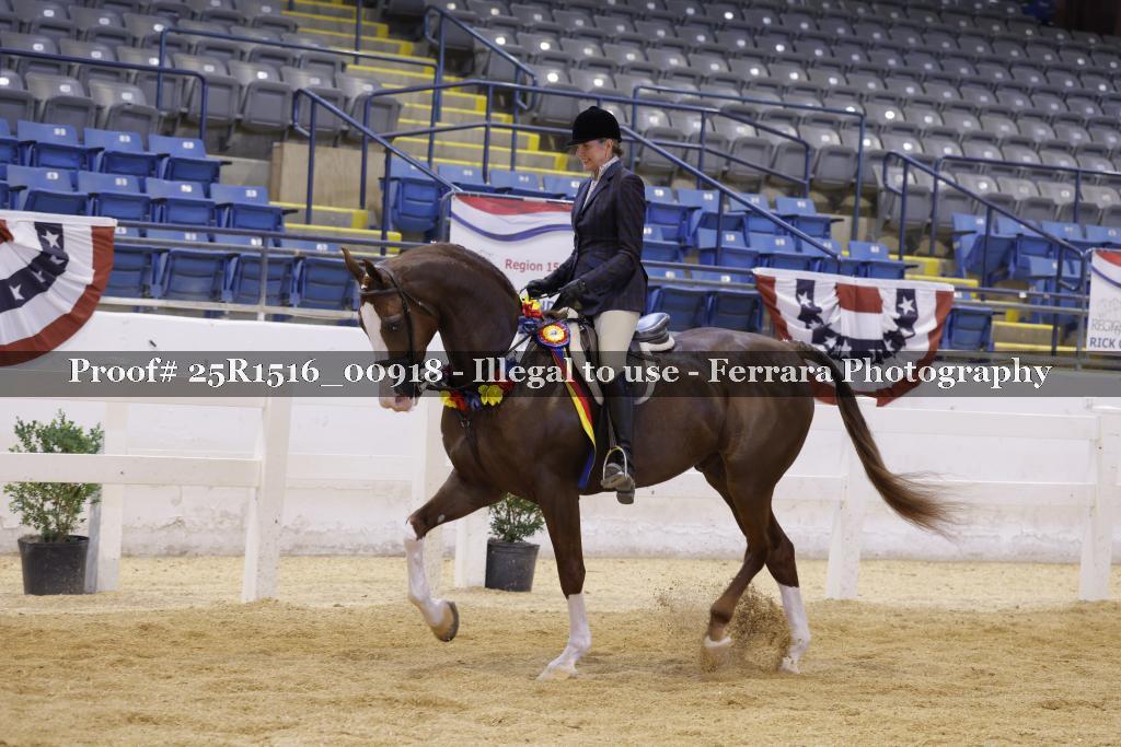 Proof Number 25R1516_00918