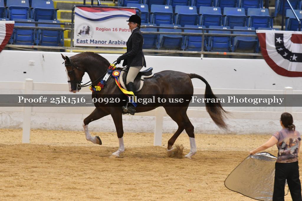 Proof Number 25R1516_00920