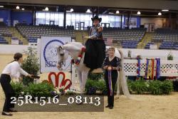 25R1516_08113 thumbnail