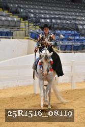 25R1516_08119 thumbnail