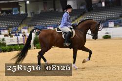 25R1516_08126 thumbnail