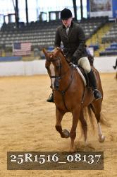 25R1516_08137 thumbnail
