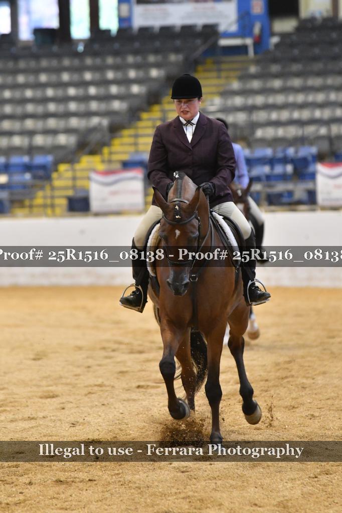 Proof Number 25R1516_08138