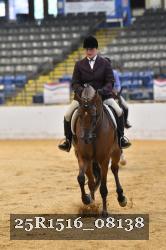 25R1516_08138 thumbnail