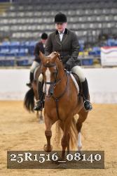25R1516_08140 thumbnail