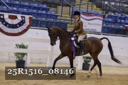 25R1516_08146 thumbnail