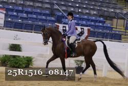 25R1516_08147 thumbnail