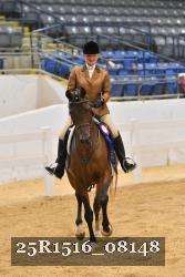 25R1516_08148 thumbnail