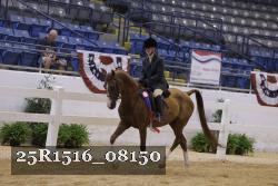 25R1516_08150 thumbnail