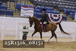 25R1516_08151 thumbnail