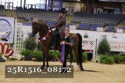 25R1516_08172 thumbnail
