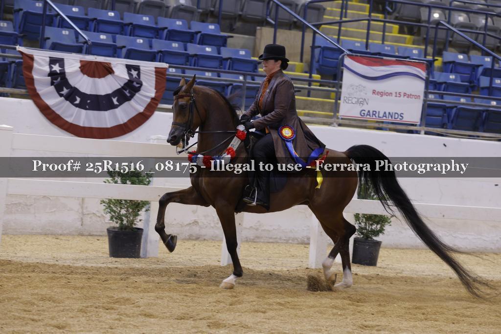 Proof Number 25R1516_08175