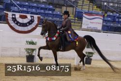 25R1516_08175 thumbnail