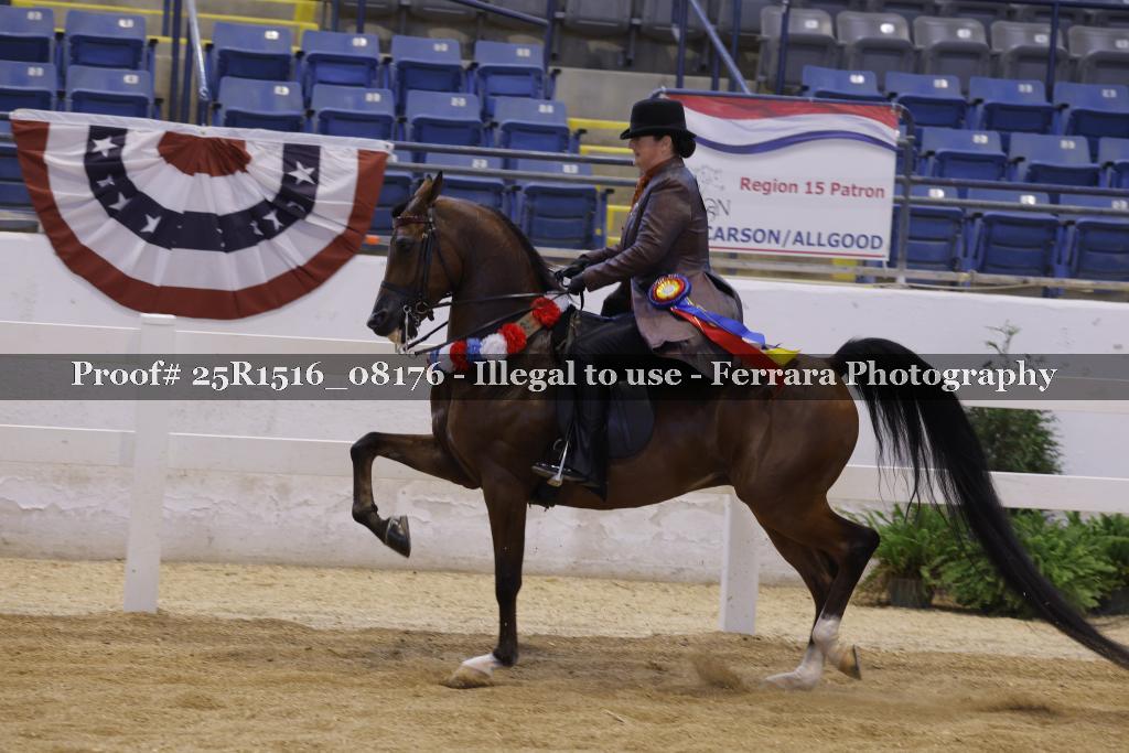 Proof Number 25R1516_08176