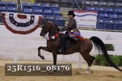 25R1516_08176 thumbnail