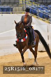 25R1516_08177 thumbnail