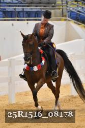 25R1516_08178 thumbnail