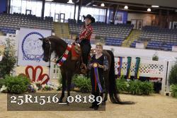 25R1516_08189 thumbnail