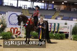 25R1516_08190 thumbnail