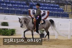 25R1516_08197 thumbnail