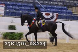 25R1516_08224 thumbnail