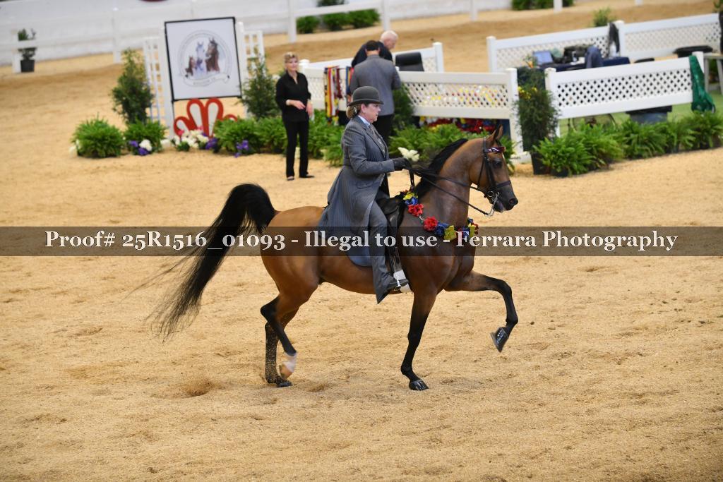 Proof Number 25R1516_01093