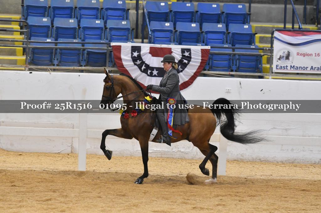 Proof Number 25R1516_01095