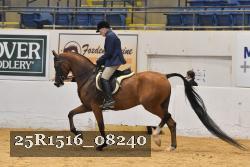 25R1516_08240 thumbnail