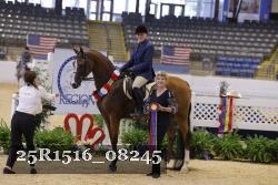 25R1516_08245 thumbnail
