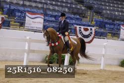 25R1516_08250 thumbnail