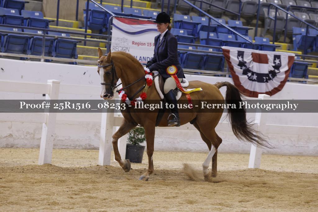 Proof Number 25R1516_08253