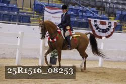25R1516_08253 thumbnail