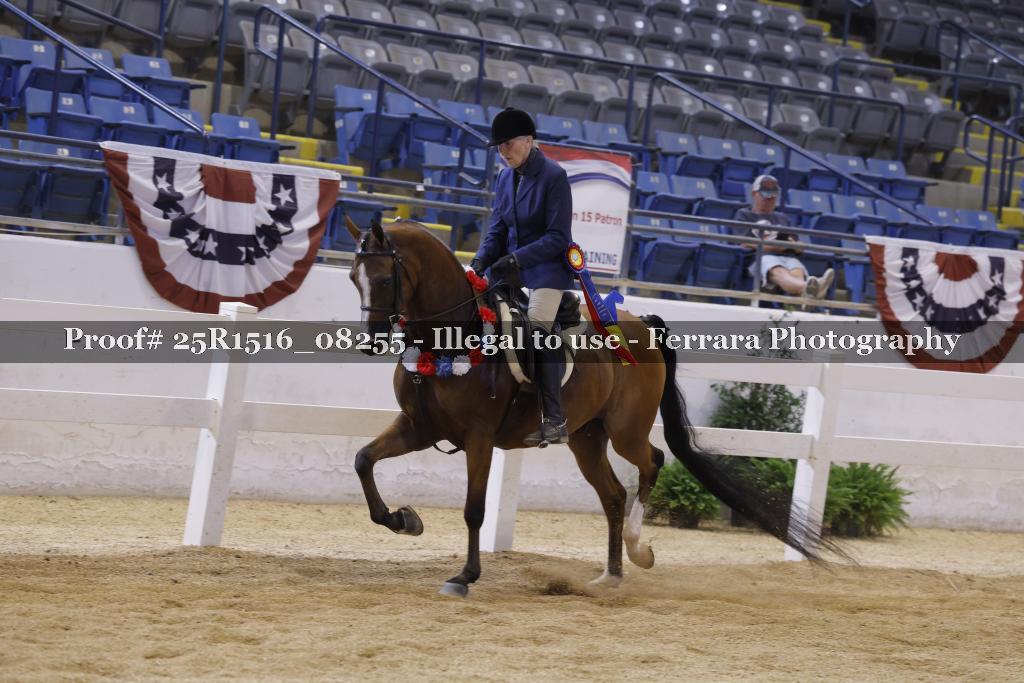 Proof Number 25R1516_08255