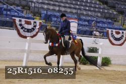 25R1516_08255 thumbnail