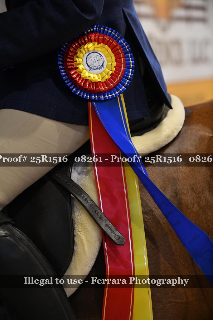 Proof Number 25R1516_08261